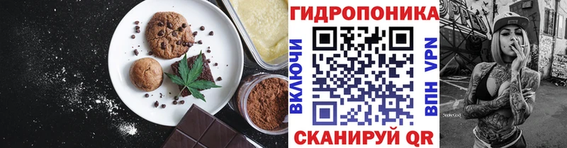 Купить закладки  Суворов  Canna-Cookies конопля 