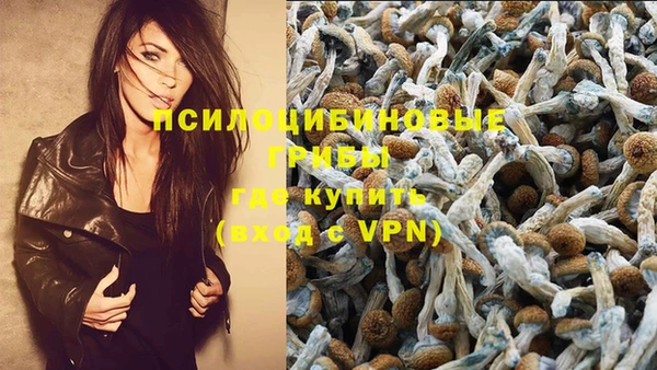 прущая мука Алексин