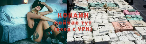 трава Армянск