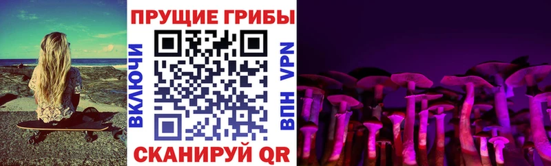 Купить  Суворов  Псилоцибиновые грибы мицелий 